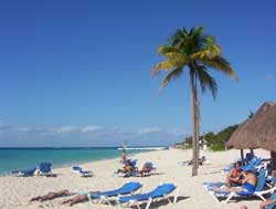 Occidental Allegro Beach